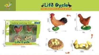 Εκπαιδευτικό σετ Κοτοπουλάκια - Life Cycle - 161113 - Image 2
