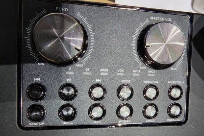Ασύρματο ηχείο Bluetooth με 2 μικρόφωνα Karaoke - YS-202 - 887165 - Black - Image 3